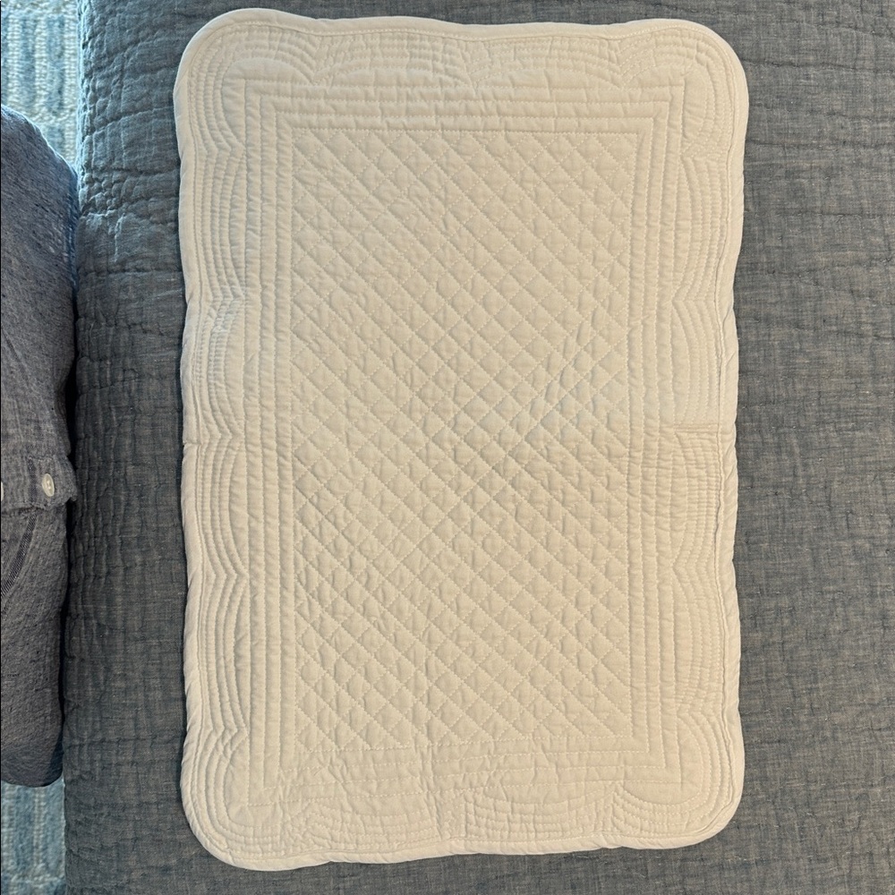 Pottery Barn placemats - 7